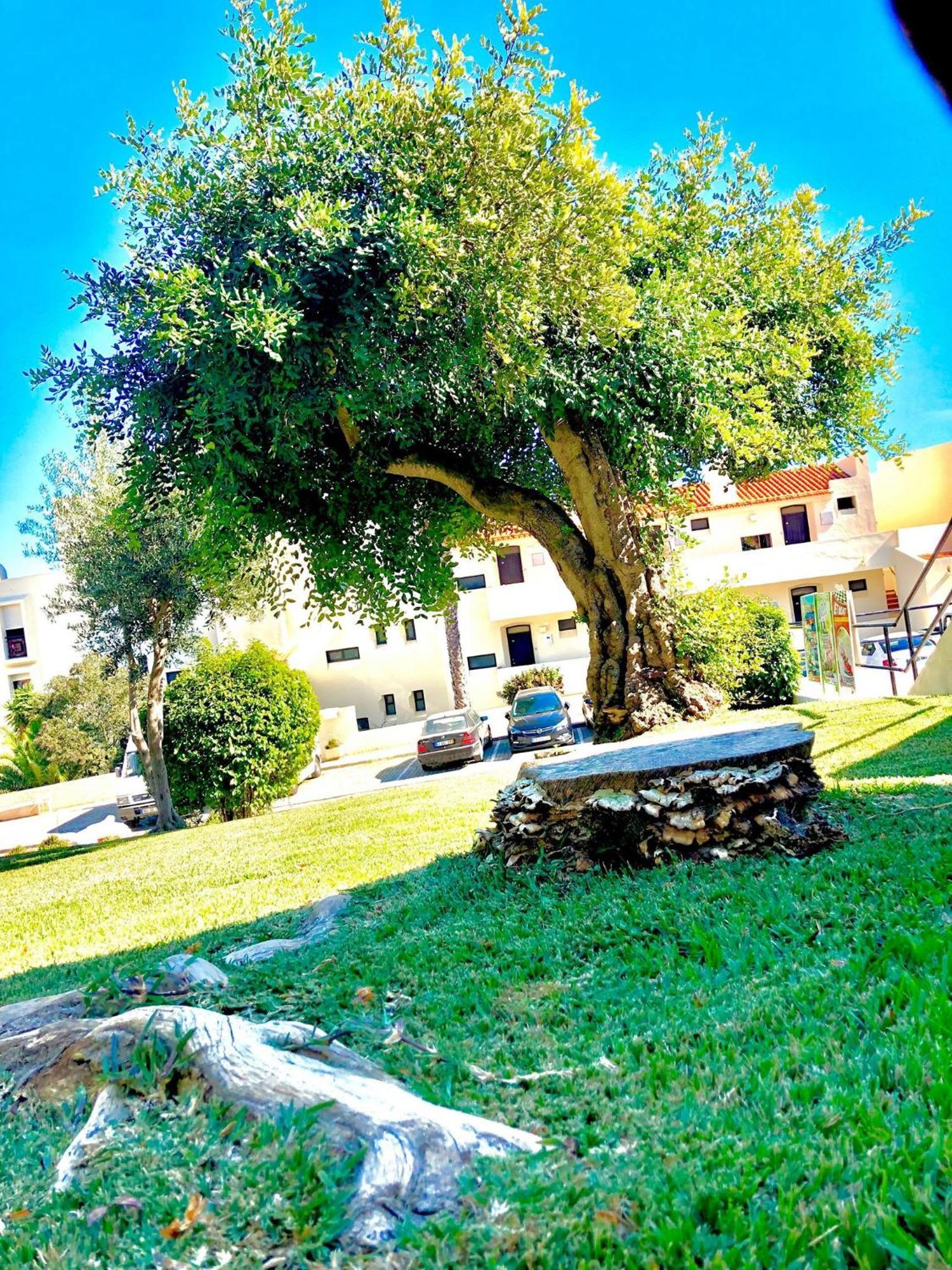 Albufeira Jardim - Apartamentos Turisticos エクステリア 写真