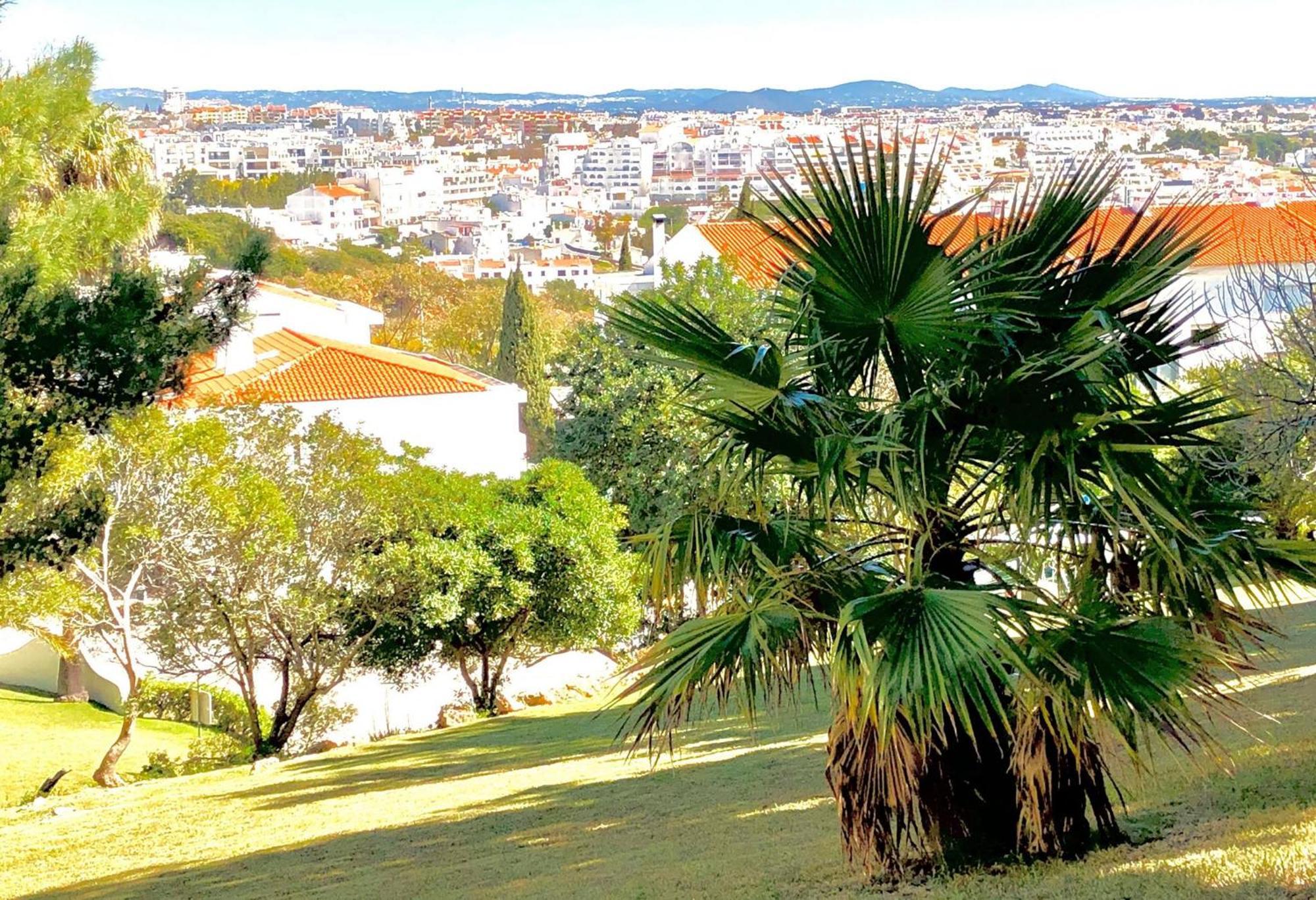 Albufeira Jardim - Apartamentos Turisticos エクステリア 写真