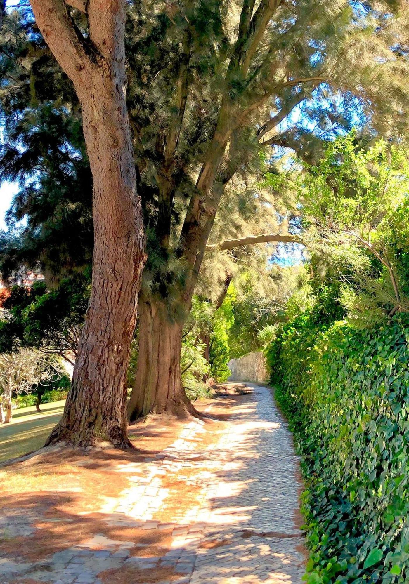 Albufeira Jardim - Apartamentos Turisticos エクステリア 写真